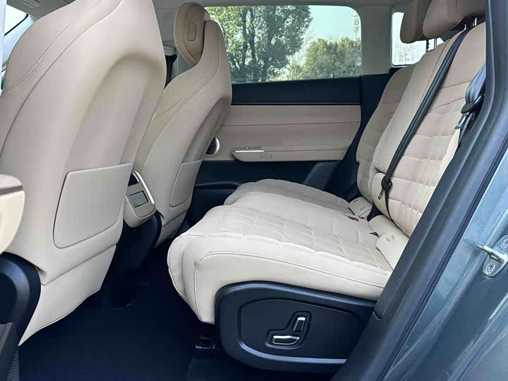 Фото 8 - Exeed Sterra ET