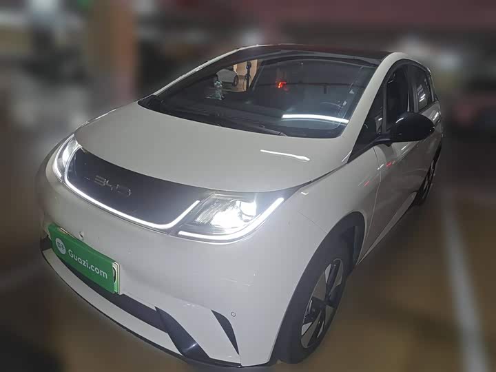 Фото 2 - BYD Dolphin