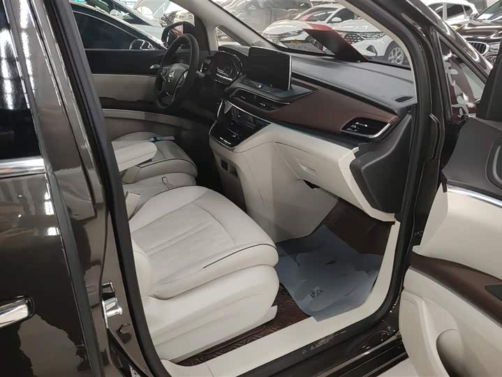 Фото 8 - Buick GL8 ES