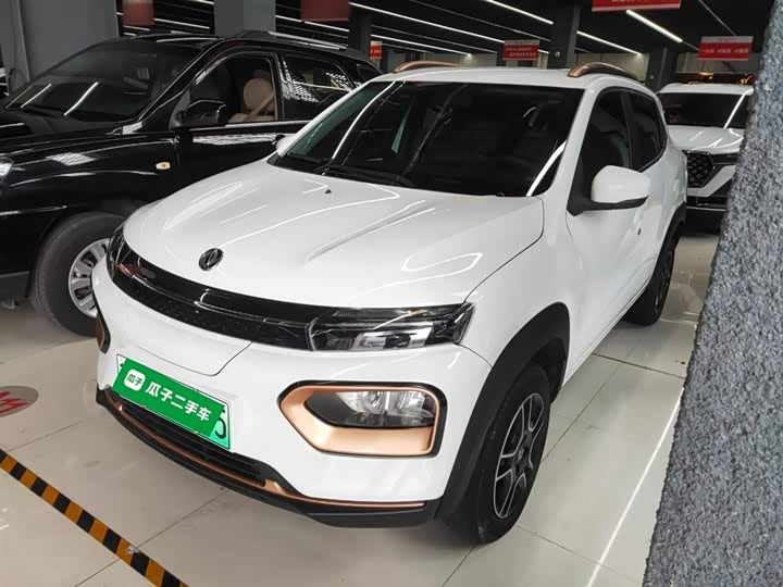 Фото 2 - Dongfeng Nammi Nano EX1