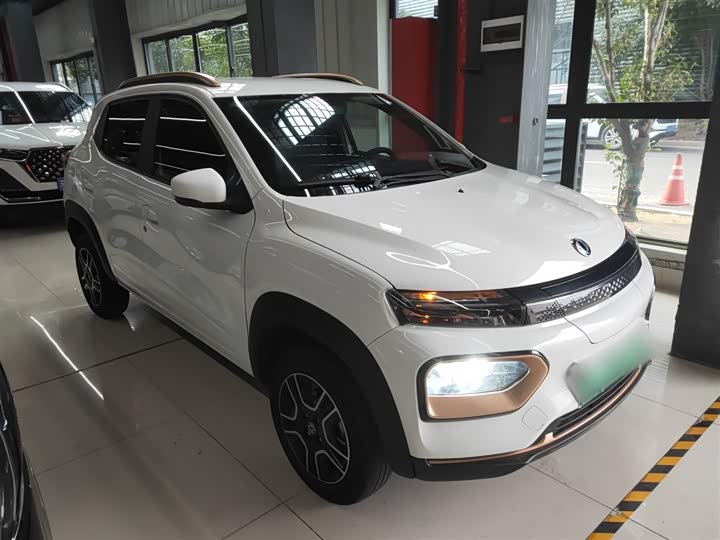 Фото 4 - Dongfeng Nammi Nano EX1