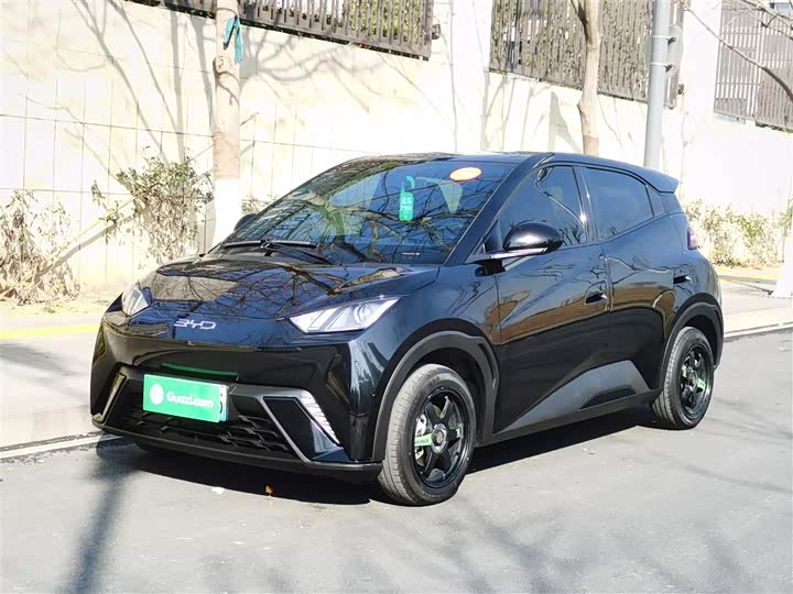 Фото 1 - BYD Seagull