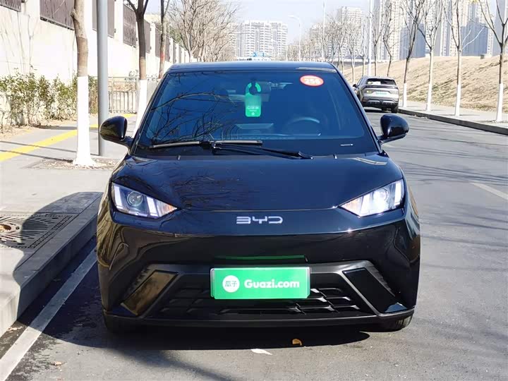 Фото 3 - BYD Seagull