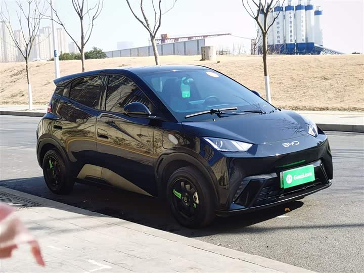 Фото 4 - BYD Seagull