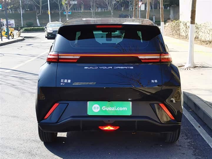 Фото 6 - BYD Seagull