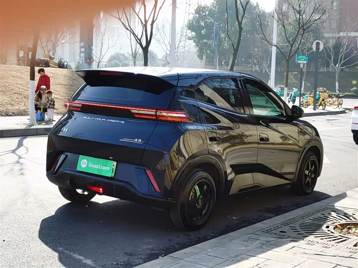 Фото 7 - BYD Seagull