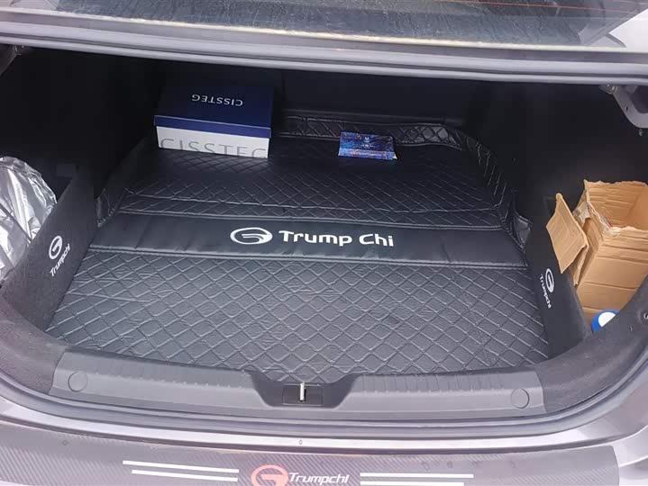 Фото 4 - GAC Trumpchi Empow R