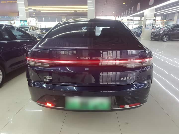 Фото 6 - BYD Destroyer 05