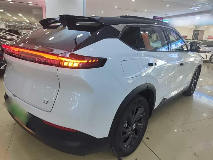 Фото 7 - Dongfeng Aeolus L7