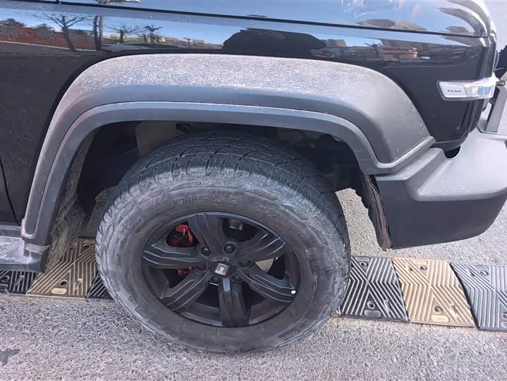 Фото 6 - Tank 300