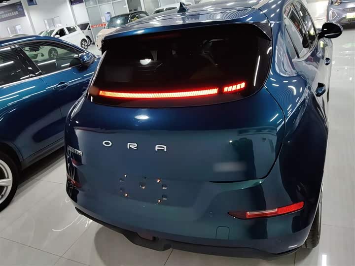 Фото 6 - Ora Good Cat (03)