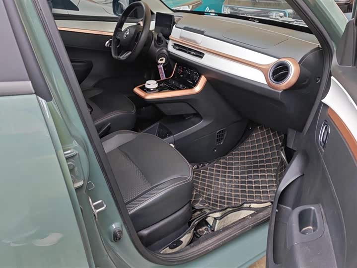 Фото 8 - Dongfeng Nammi Nano EX1