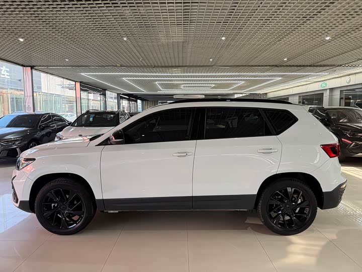 Фото 6 - Jetta VS5