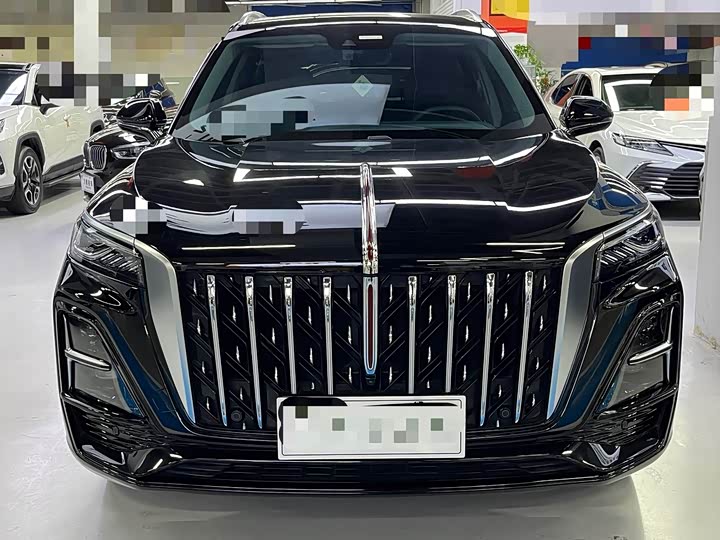 Фото 2 - Hongqi HS5