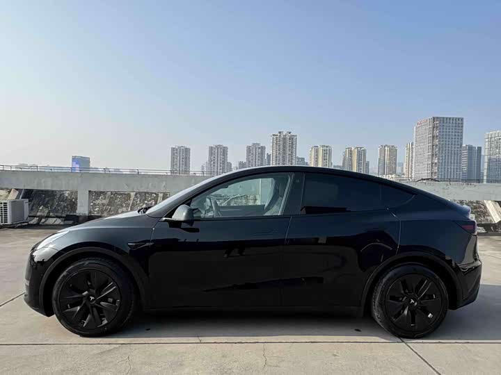 Фото 4 - Tesla Model Y