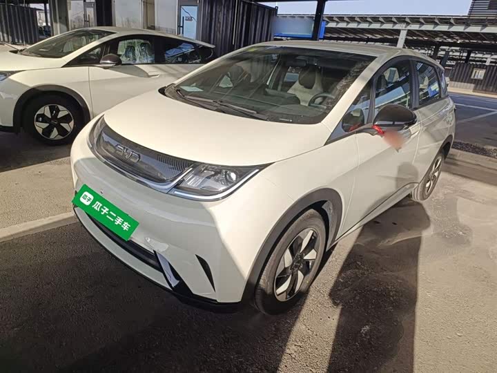 Фото 1 - BYD Dolphin