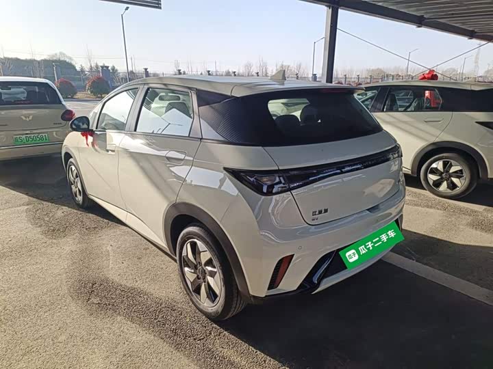 Фото 5 - BYD Dolphin