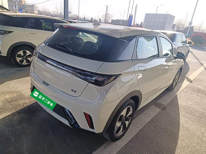 Фото 7 - BYD Dolphin