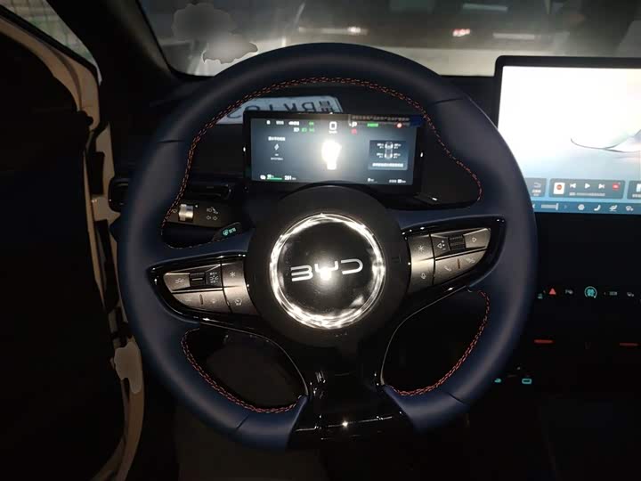 Фото 3 - BYD Seagull