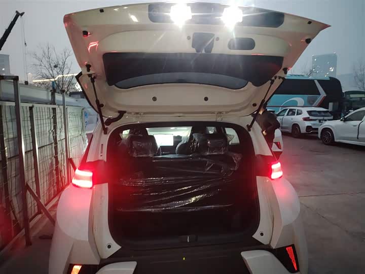 Фото 9 - BYD Seagull