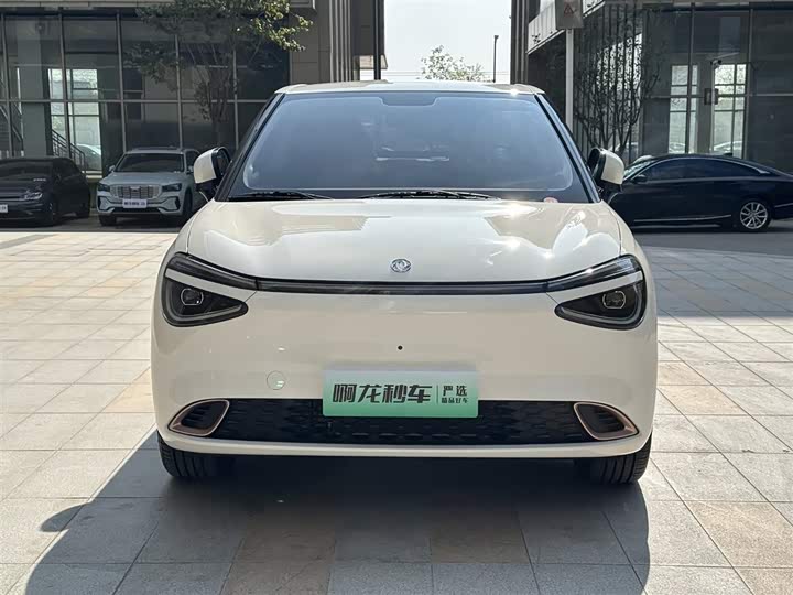 Фото 5 - Dongfeng Nammi 01