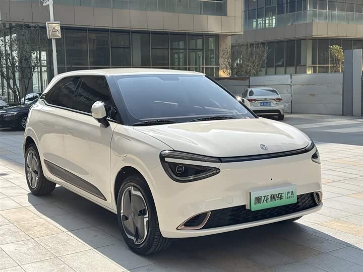 Фото 6 - Dongfeng Nammi 01