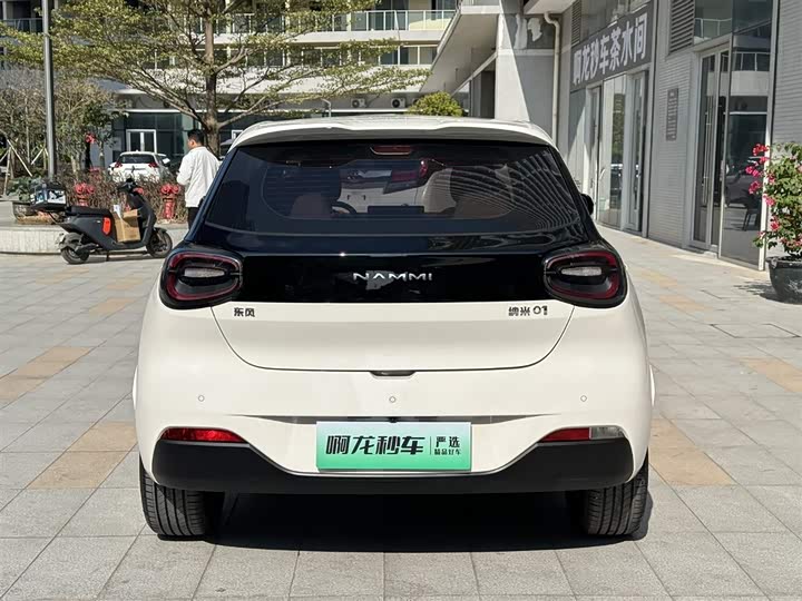 Фото 8 - Dongfeng Nammi 01