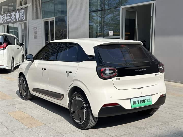 Фото 9 - Dongfeng Nammi 01