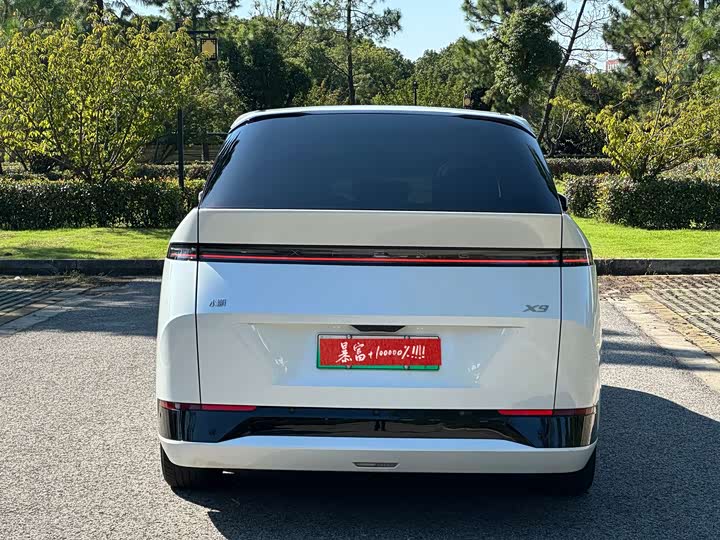 Фото 4 - XPeng X9