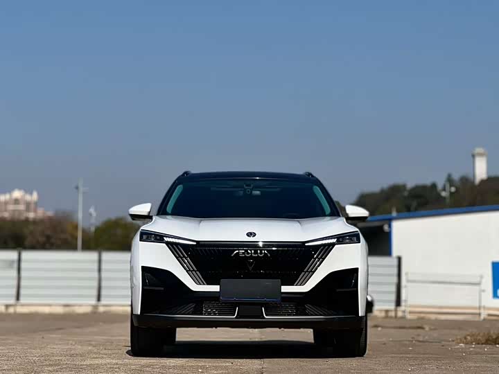 Фото 2 - Dongfeng Aeolus Haohan