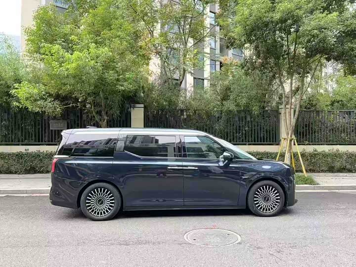 Фото 3 - Zeekr 009