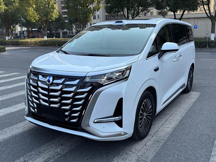 Фото 1 - Denza D9