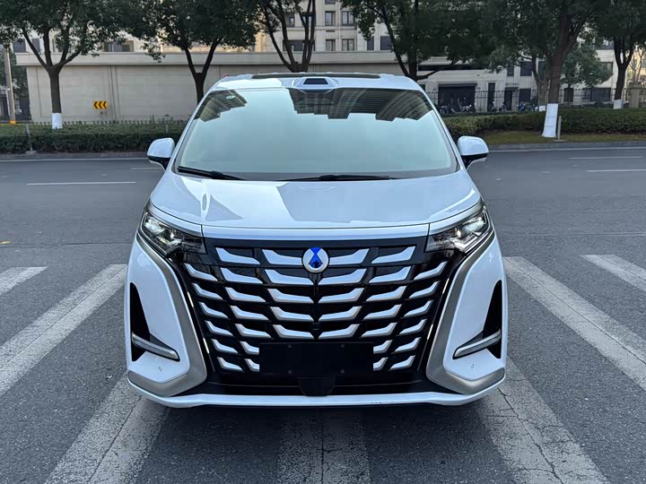 Фото 2 - Denza D9