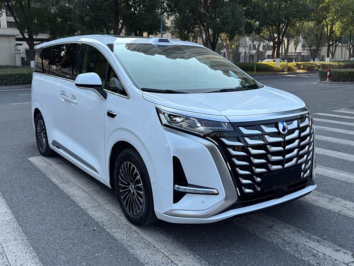 Фото 3 - Denza D9