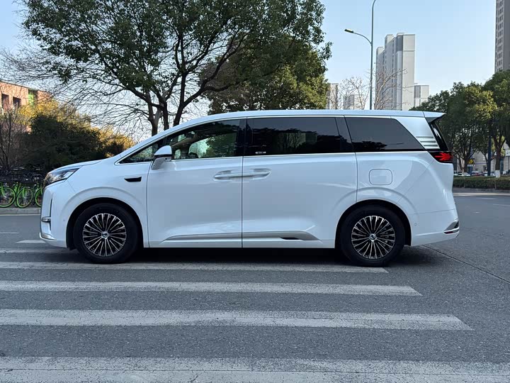 Фото 4 - Denza D9