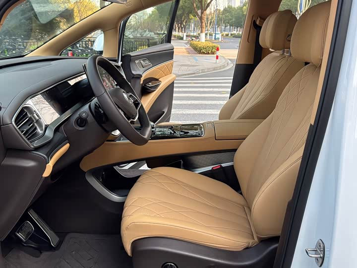 Фото 8 - Denza D9