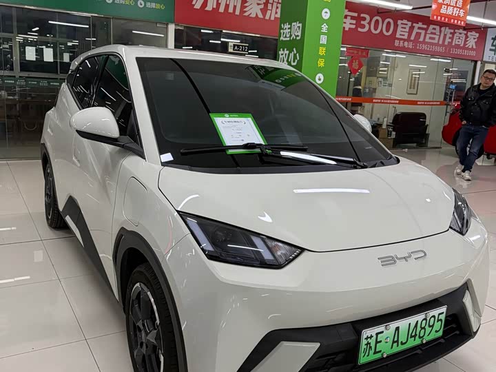 Фото 3 - BYD Seagull