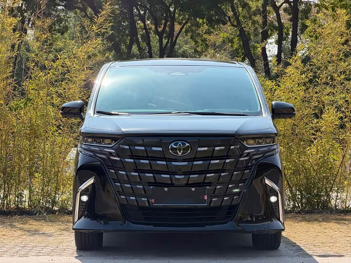 Фото 2 - Toyota Alphard