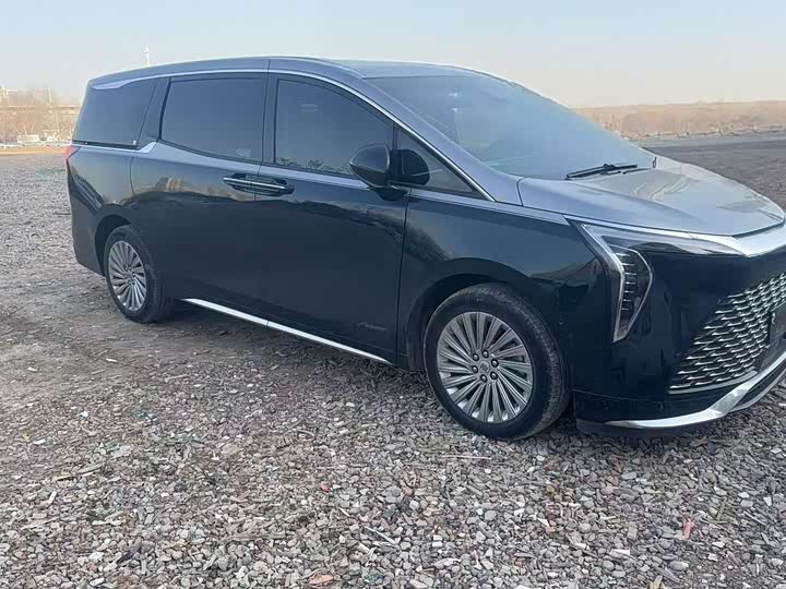 Фото 4 - Buick GL8 Century