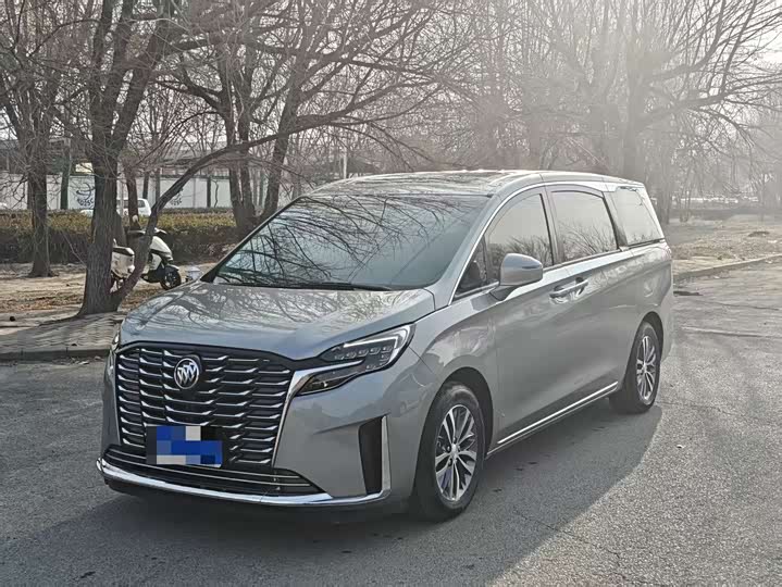 Фото 1 - Buick GL8 ES