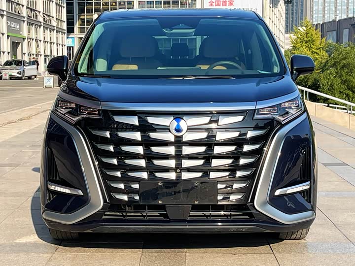 Фото 2 - Denza D9