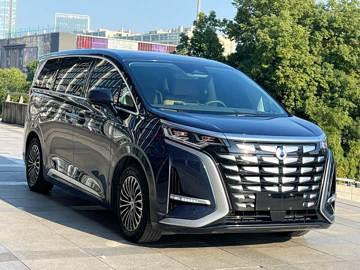 Фото 3 - Denza D9