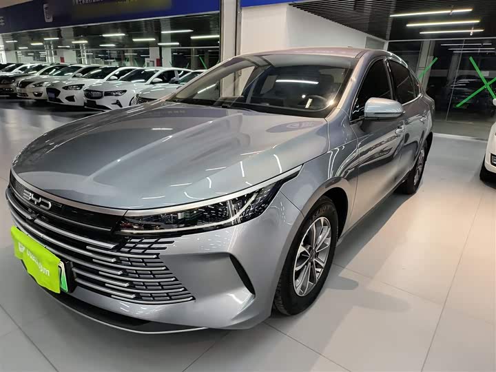 Фото 2 - BYD Destroyer 05