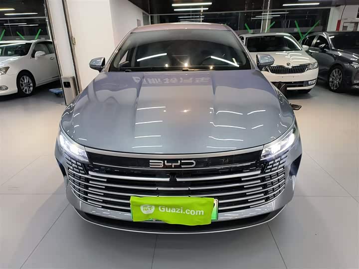 Фото 3 - BYD Destroyer 05