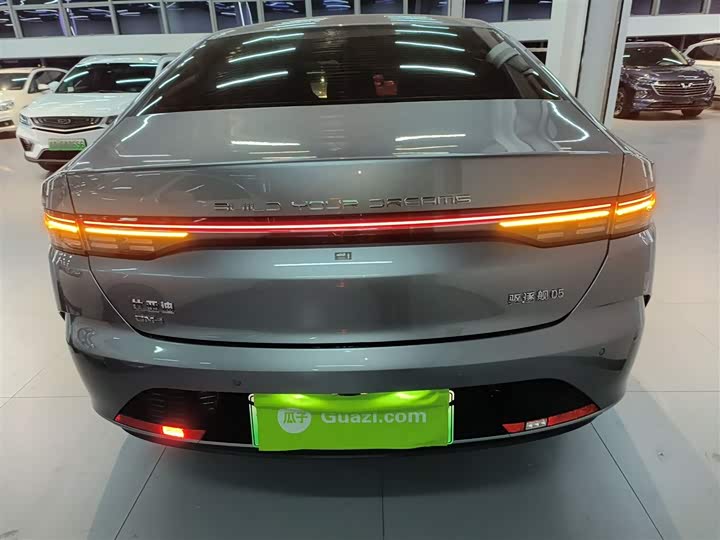 Фото 6 - BYD Destroyer 05