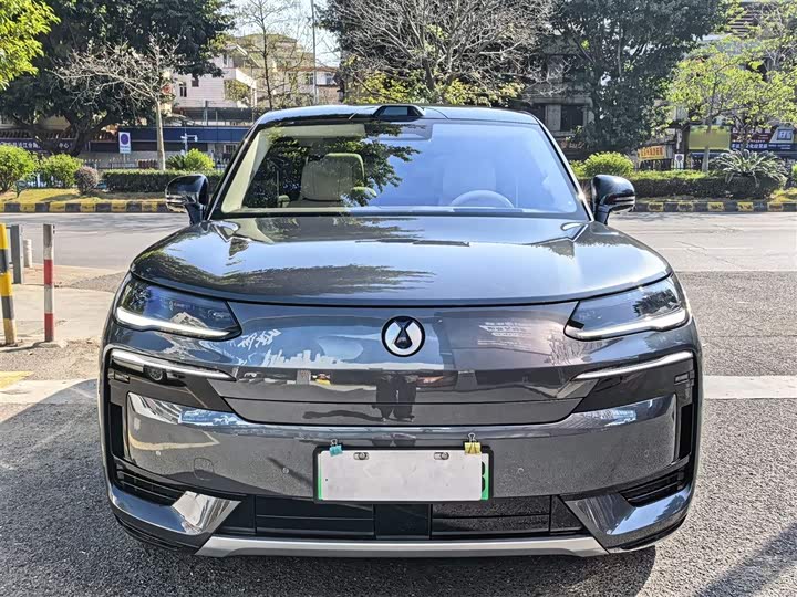 Фото 3 - Denza N9