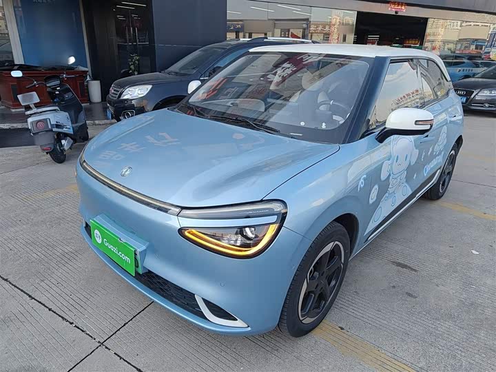 Фото 2 - Dongfeng Nammi 01