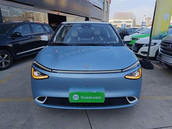 Фото 3 - Dongfeng Nammi 01