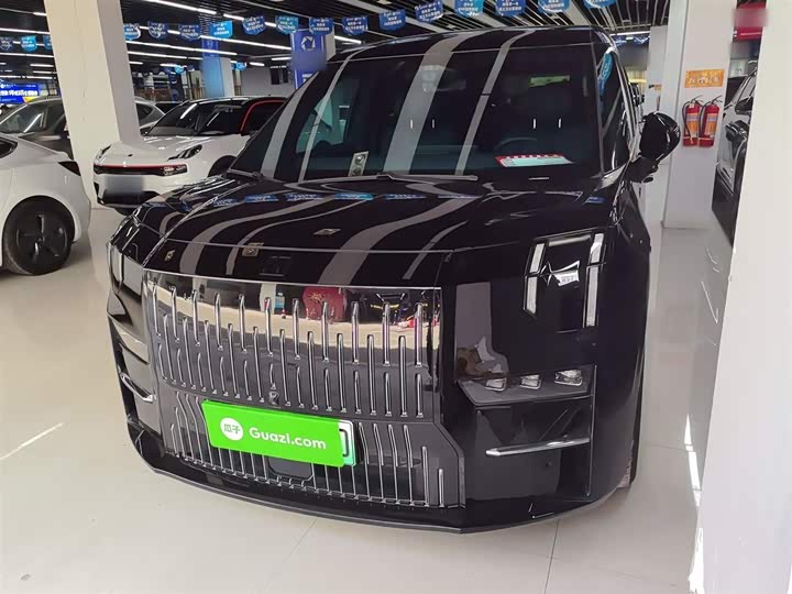 Фото 1 - Zeekr 009