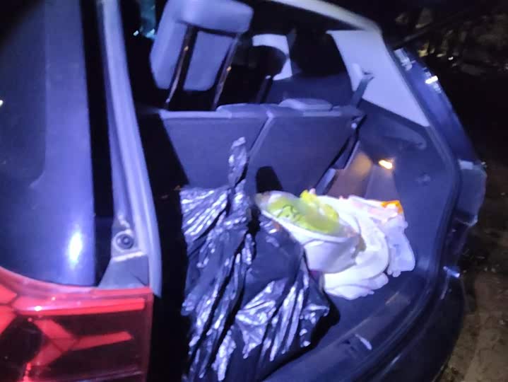 Фото 4 - Volkswagen Teramont Pro